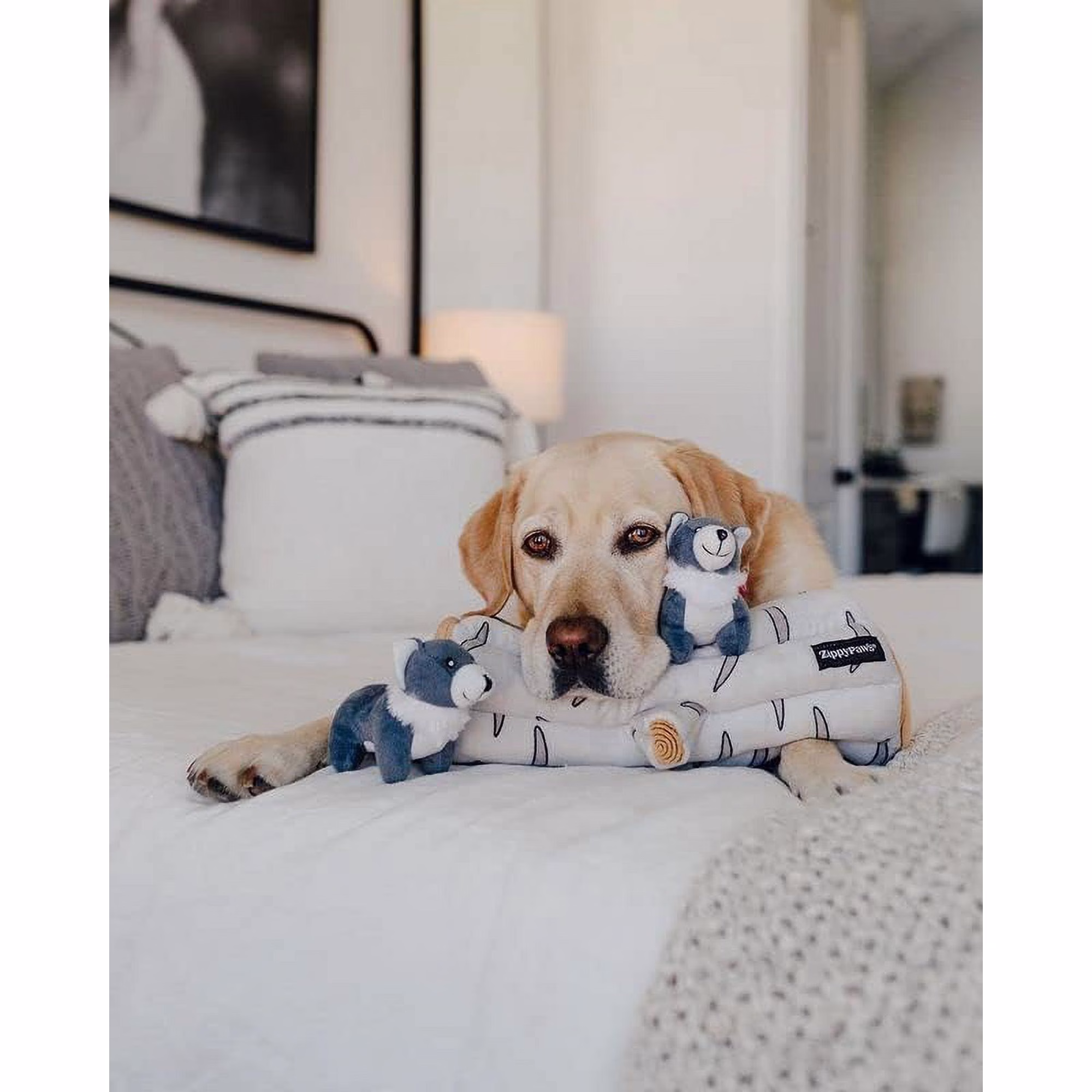 Zippy Paws Burrow Artic Wolf with dog